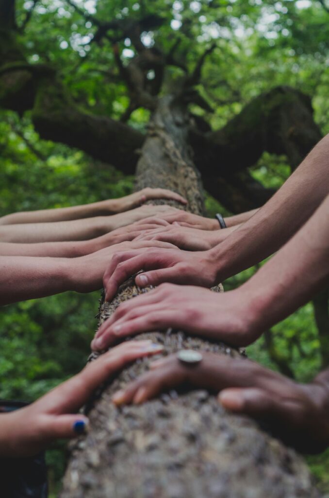 Cheminer avec sa lignée 2 groupe de personne touchant un tronc d'arbre